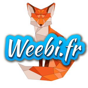 Weebi Courbevoie, Chef de projet, Designer web, Webmaster